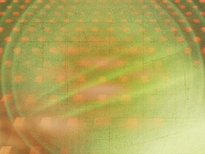 实体识别